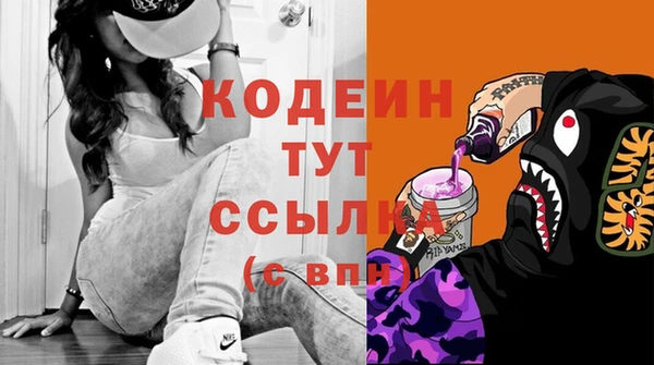 амф Арсеньев