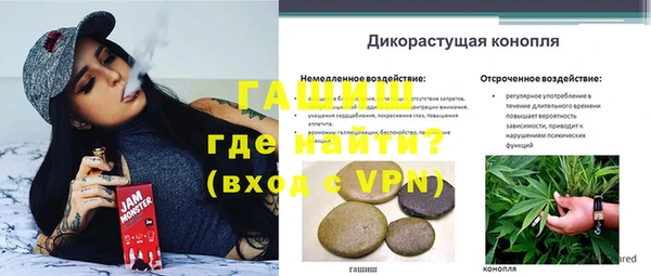 амф Арсеньев